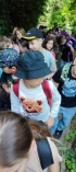 Štvrtáci